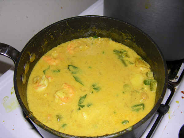 curry pot.jpg (127435 bytes)